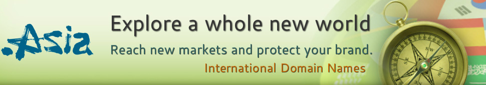 .ASIA – Top-Level Domain (TLD)